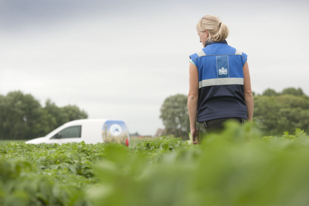 Medewerker voert veldkeuring uit in aardappelveld met NAK-bus op de achtergrond