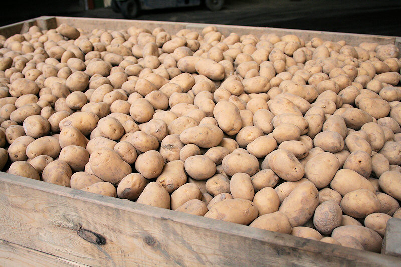 Aardappelen klaar voor import en export