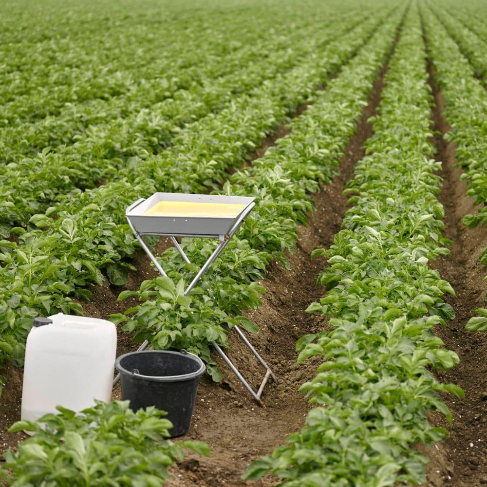 Materialen voor bladonderzoek opgesteld tussen rijen aardappelplanten in het veld