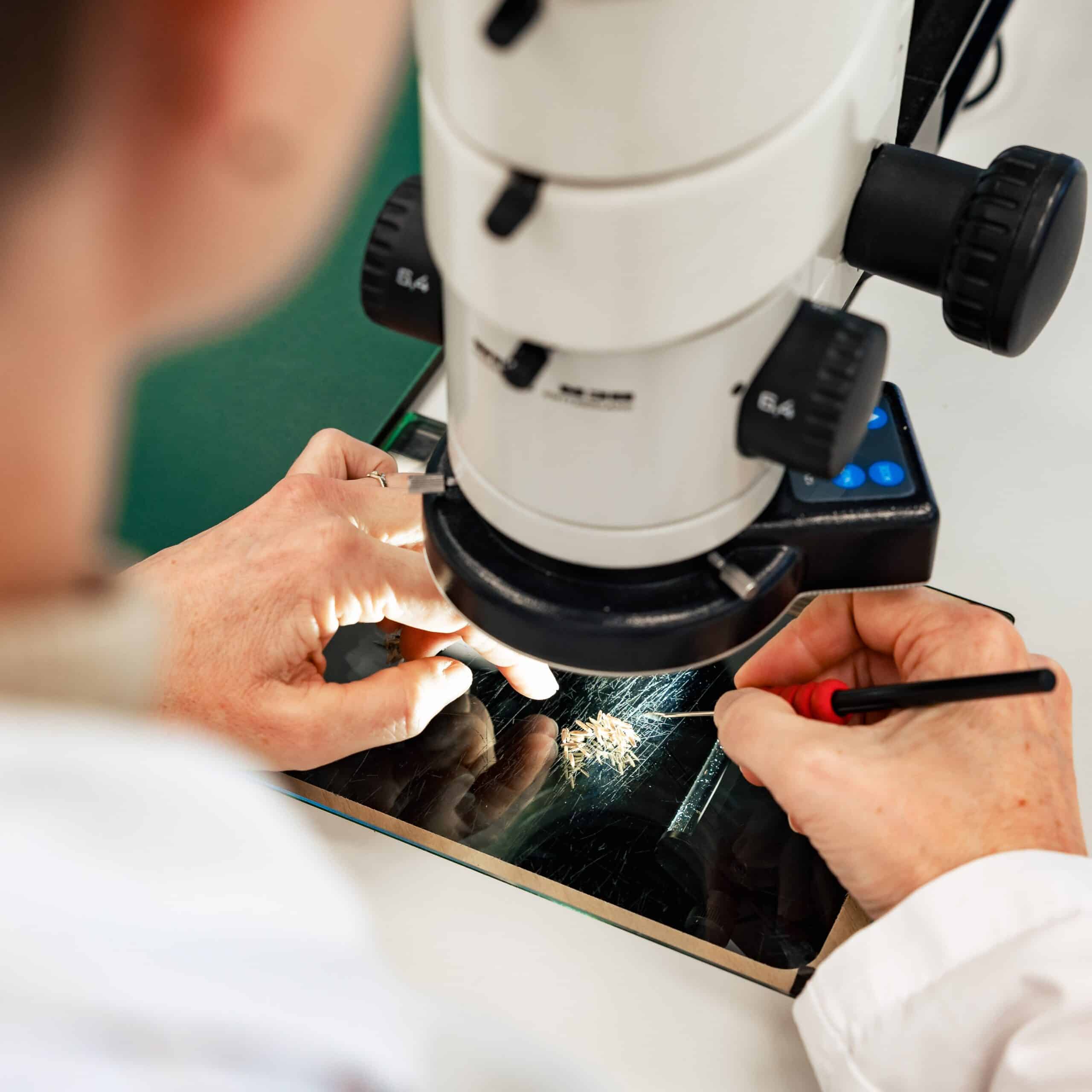 Zaaizaad Zuiverheid Microscoop Vierkant