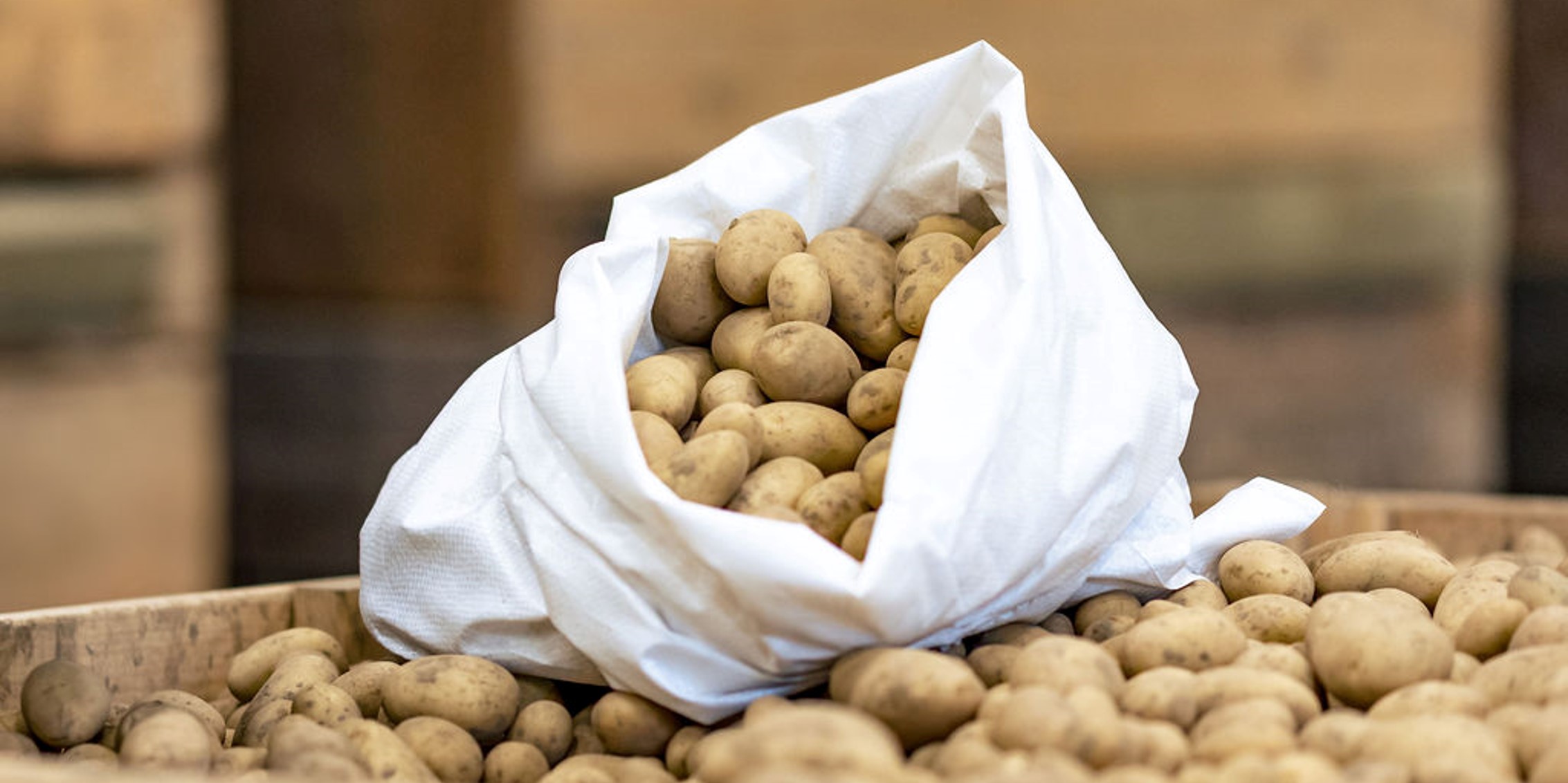 Potato-Europe